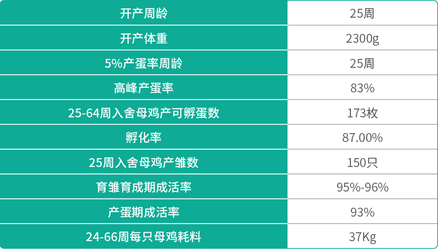 5.正常型“鐵腳麻”   配套系1.jpg