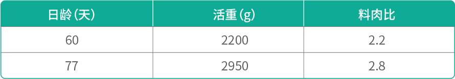 5.正常型“鐵腳麻”   配套系2.jpg